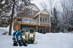 chalet � louer Saint-Faustin-Lac-Carr� Laurentides