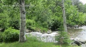 chalet � louer bord de l'eau  