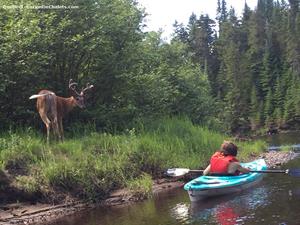 chalet � louer bord de l'eau  