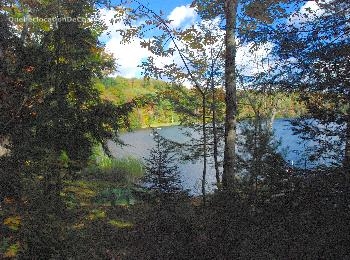 chalet � louer, Les boutons dor