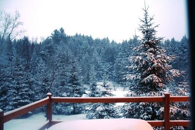 chalet a louer, Au colibri joli