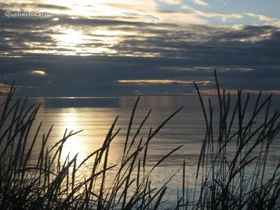 Location de chalet, Au Bl� de Mer