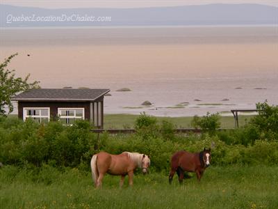 Location de chalet, La Maison au bord du fleuve