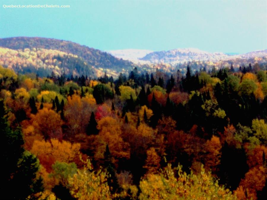 Rencontre en ligne laurentides