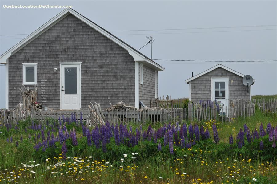 Chalet à louer ÎlesdelaMadeleine, HavreAubert La Maison de Diane
