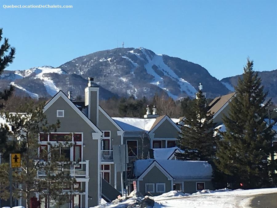 location chalet ski orford