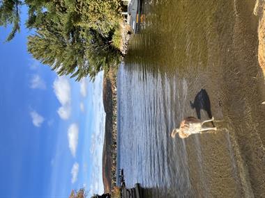 chalets à louer Saint-Damien, Lanaudière