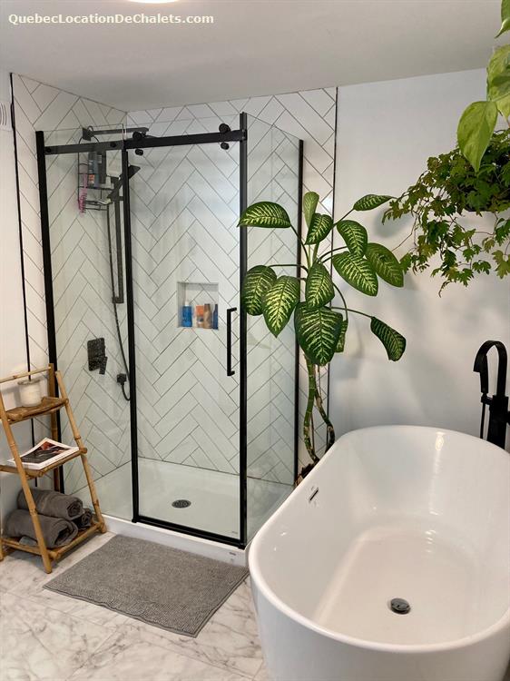 Chalet à louer Estrie/Cantonsdel'est, Bromont Sous les pins, Maison