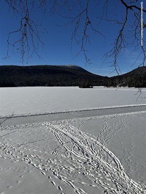 chalets à louer Saint-Donat, Lanaudière