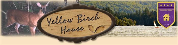 La Maison au Bouleau Jaune/Yellow Birch House